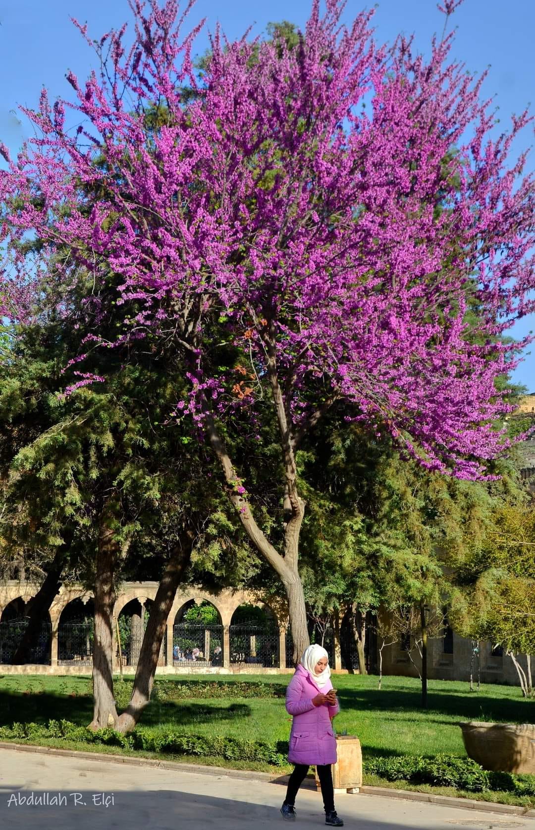 Foto: Abdullah R. Elçi